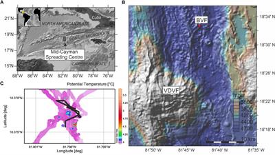 Diffuse Hydrothermal Venting: A Hidden Source of Iron to the Oceans